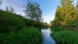 29 июня 2024 г.