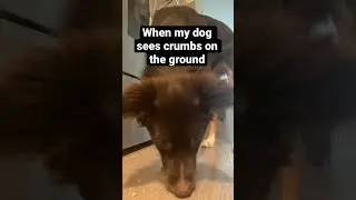 🧹🧹