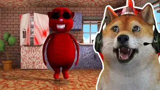 AKIBAT MEMBUAT KUCING JUAN MARAH! - Talking Juan Indonesia