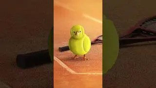 Tennis?🐥🎾 in 