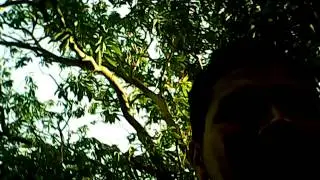 Muestra del ensamble de KUMBE 07
