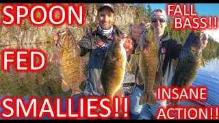How to catch bass in the fall! Smallmouth Smashfest!