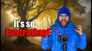 The TRUTH about WOODLAND PHOTOGRAPHY no one is TELLING YOU!