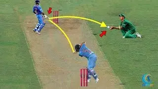 #10 Accidental Catches in Cricket !! Best catches in cricket