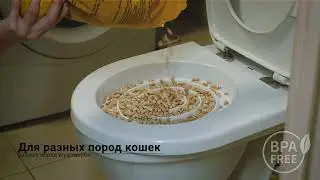 Система приучения кошек к унитазу