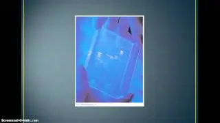 Biotechnology - DNA Profiles & Electrophoresis
