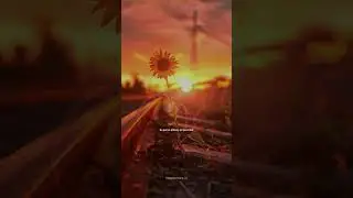 #allahuakbar #alhamdulillah