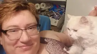 💥😍Алмазка/Мой котик/🪙Получила зарплату,УРРААА,расту/направили в КВД/Какие планы на выхи!