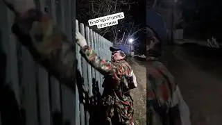 Блогер. Столяр. Плотник