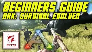 Ark: Survival Evolved Beginners Guide | Ark Tutorial