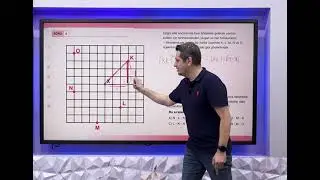 65 