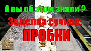 Заделка сучков и ПРОБКИ