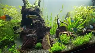 EHEIM aquapro 180 - akvarium