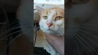 Лëвка. Приехали в клинику.