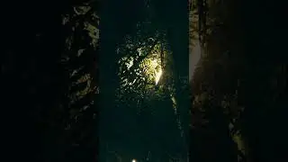 Light blinking #night #calm #music #2023 #light #blinking #slowed