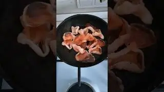 делаем креветка-чипсы