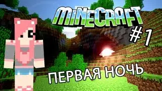 Minecraft - ПЕРВАЯ НОЧЬ (Серия 1)