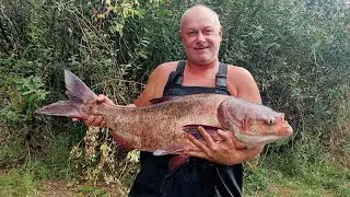 Кум! Кум! Головне, ти візьми його...