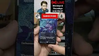 1 of the BEST Wilds of Eldraine Collector Pack Pulls! 