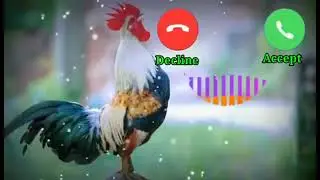 realme mobile caller tune realme SMS ringtone #ringtone #loveringtone official ringtone #realme tone