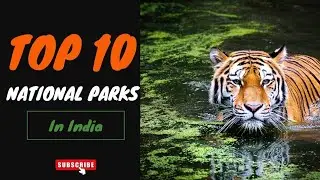 Top 10 National parks in india🤩 | National parks in india||🦁 