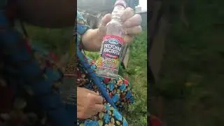 деревня