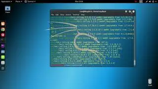 Kali Linux updater error (Update 2017.2)