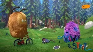 Велокрад • Kiwi & Strit! - 1 сезон