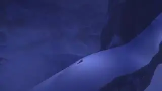 Frozen Let it go Multilanguage 57 Languages PAL