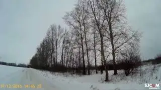 ястреб тетеревятник слетает с дерева