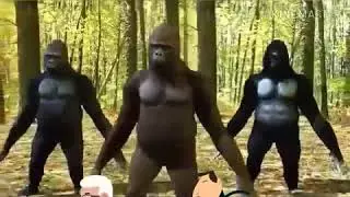 Goyang Dulu yok (Lyrik Bergek)