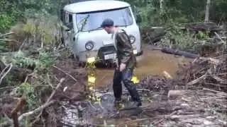 Просто отдых в лесу...