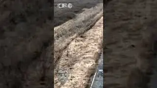 Спасение дрона дроном с территории ВСУ! Важный дрон русских застрял над Украиной