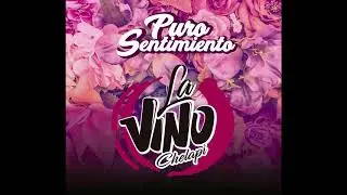 La Vinochelapi - El Cuaderno
