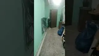 бабка ниньзя у меня дома