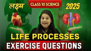 Life Processes  | Chapter 5 | Exercise Questions | 