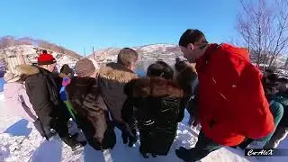 Сивучи.