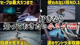 【ステラーブレイド】Stellar Blade好きなら知っておきたい小ネタ5選【Stellar Blade】