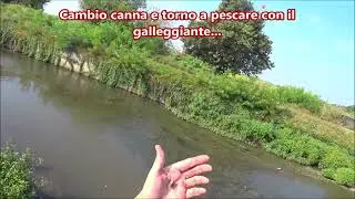 Un rettile all'amo