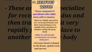9th NERVOUS TISSUE. BEST NOTE.