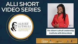 A little bit about the Albert Luthuli Leadership Institute