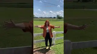 My house nightmare 