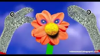 Flower Flash Animation Song