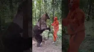 The 33rd failed blind date of the bear #animals #love #shorts