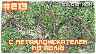 По полю с металлоискателем кружим Металлокоп 2023