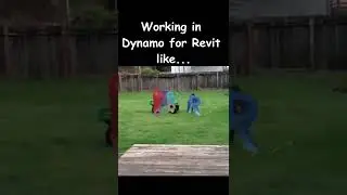Working in Dynamo for Revit like... 