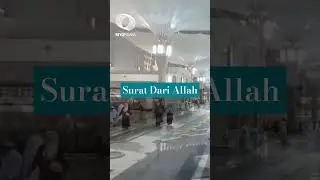 Surat Dari Allah Untuk Syekh Abdul Qodir Al Jaelani #kisahwaliallah #kisahparawaliyullah #shorts