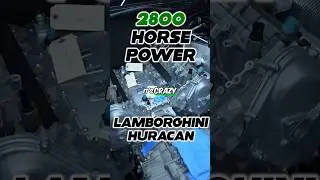 HALF A MILLION DOLLAR LAMBORGHINI THAT GOES HOW FAST?!
