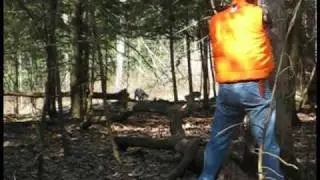 Tioga Ranch Wild Boar Hunting - .44 Magnum