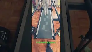 Любимая работа #дети#русскоеполе#работа